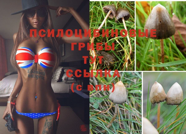 наркотики Вяземский
