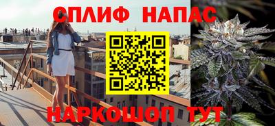 гидра Лесосибирск