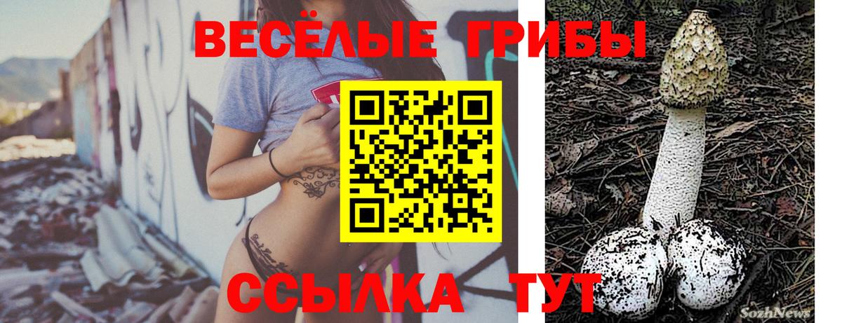 Галлюциногенные грибы MAGIC MUSHROOMS Железногорск